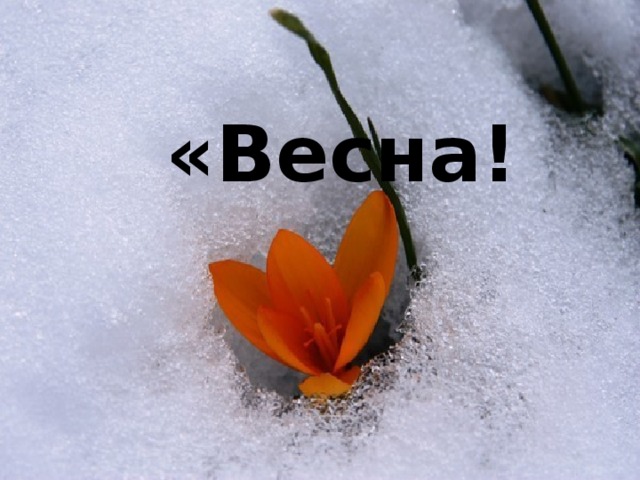  «Весна!    Весна!»  