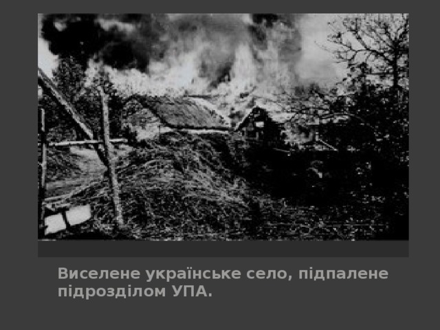Виселене українське село, підпалене підрозділом УПА. 