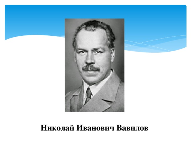 Николай Иванович Вавилов 