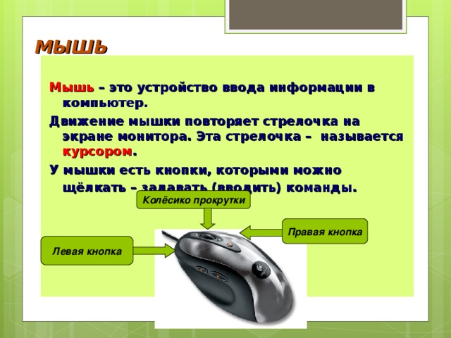 Почему мышь назвали мышью. Функция устройства мышь. Мышка это в информатике. Компьютерная мышь определение. Описание компьютерной мышки.