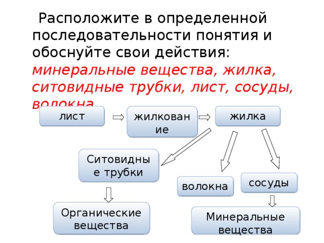 Термин последовательность