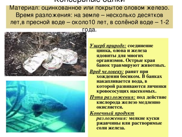 Консервные банки  Материал: оцинкованное или покрытое оловом железо.  Время разложения: на земле – несколько десятков лет,в пресной воде – около10 лет, в солёной воде – 1-2 года.   Ущерб природе: соединение цинка, олова и железа ядовиты для многих организмов. Острые края банок травмируют животных. Вред человеку: ранят при хождении босиком. В банках накапливается вода, в которой развиваются личинки кровососущих насекомых. Пути разложения: под действие кислорода железо медленно окисляется. Конечный продукт разложения: мелкие куски ржавчины или растворимые соли железа. 