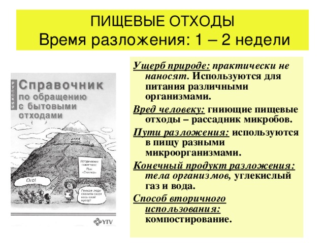 Пищевые связи в природе презентация