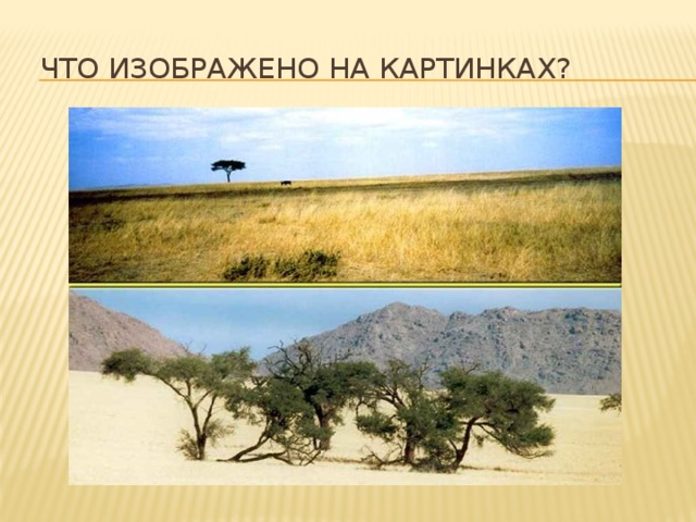  Что изображено на картинках? 