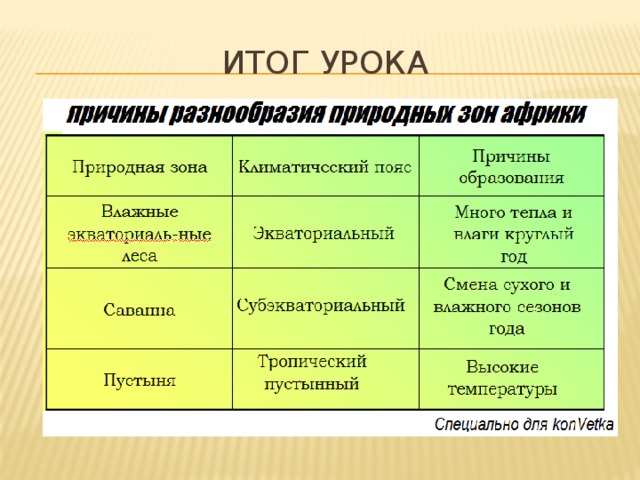 План характеристики природной зоны влажные экваториальные леса