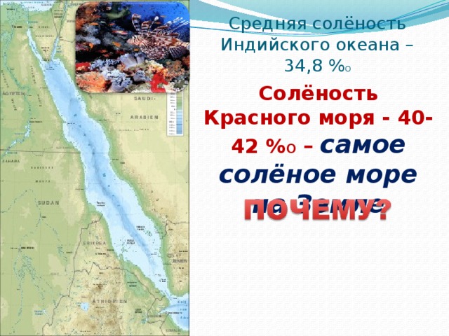 Самое соленое море на земле