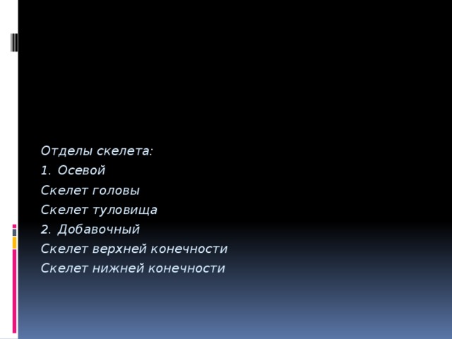 Отделы скелета: Осевой Скелет головы Скелет туловища Добавочный Скелет верхней конечности Скелет нижней конечности  