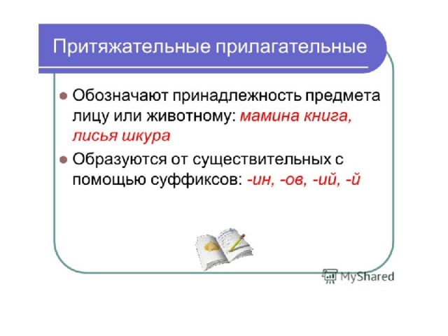 Обратить внимание на то, что притяжательные прилагательные обозначают принадлежность предмета лицу или животному и образуются от существительных с помощью суффиксов: -ин, -ов, -ий, -й.  