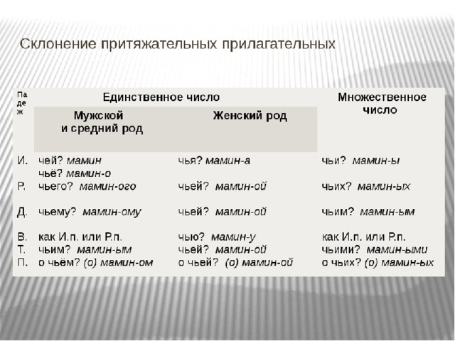 Склонение притяжательных прилагательных .Просклонять притяжательные прилагательные мужского и среднего рода.  просклонять притяжательные прилагательные женского рода  просклонять притяжательные прилагательные во множественном числе.  