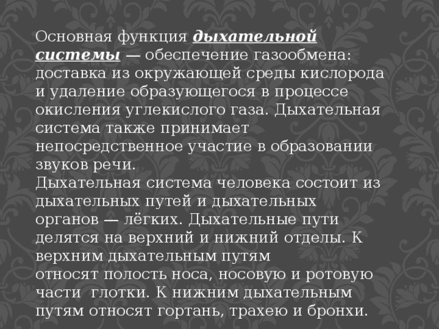 Основная функция дыхательной системы  — обеспечение газообмена: доставка из окружающей среды кислорода и удаление образующегося в процессе окисления углекислого газа. Дыхательная система также принимает непосредственное участие в образовании звуков речи. Дыхательная система человека состоит из дыхательных путей и дыхательных органов — лёгких. Дыхательные пути делятся на верхний и нижний отделы. К верхним дыхательным путям относят полость носа, носовую и ротовую части  глотки. К нижним дыхательным путям относят гортань, трахею и бронхи. 