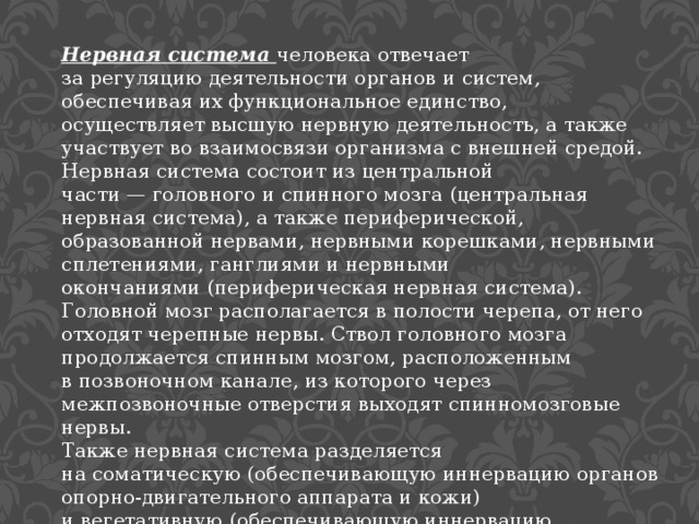 Нервная система человека отвечает за регуляцию деятельности органов и систем, обеспечивая их функциональное единство, осуществляет высшую нервную деятельность, а также участвует во взаимосвязи организма с внешней средой. Нервная система состоит из центральной части — головного и спинного мозга (центральная нервная система), а также периферической, образованной нервами, нервными корешками, нервными сплетениями, ганглиями и нервными окончаниями (периферическая нервная система). Головной мозг располагается в полости черепа, от него отходят черепные нервы. Ствол головного мозга продолжается спинным мозгом, расположенным в позвоночном канале, из которого через межпозвоночные отверстия выходят спинномозговые нервы. Также нервная система разделяется на соматическую (обеспечивающую иннервацию органов опорно-двигательного аппарата и кожи) и вегетативную (обеспечивающую иннервацию внутренних органов). 