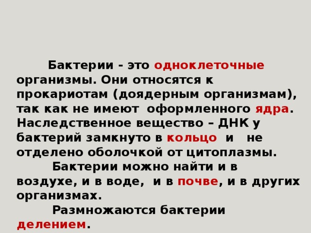 Бактерии относятся к. Бактерии относятся к прокариотам так как. Бактерии относят к прокариотам, так как они не имеют. Бактерии относят к прокариотам так как они имеют. Бактерии относятся к прокариотам так как они не имеют.