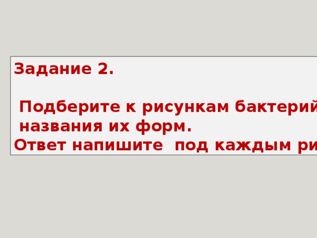 Задание 2.   Подберите к рисункам бактерий  названия их форм. Ответ напишите под каждым рисунком 