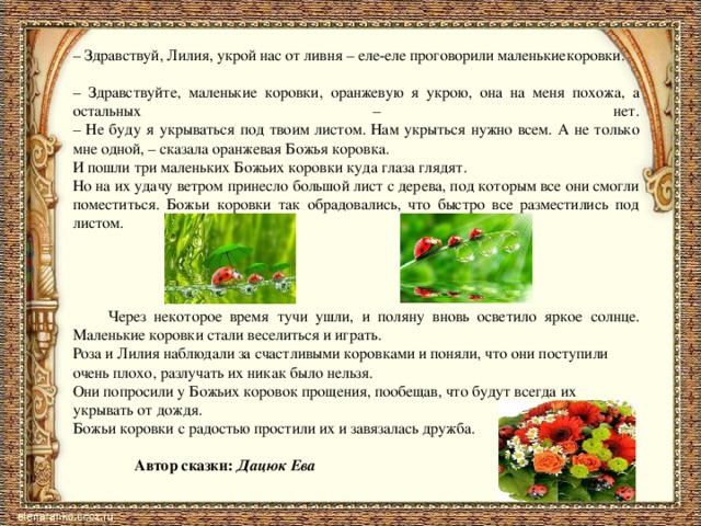 – Здравствуй, Лилия, укрой нас от ливня – еле-еле проговорили маленькиекоровки.  – Здравствуйте, маленькие коровки, оранжевую я укрою, она на меня похожа, а остальных – нет.  – Не буду я укрываться под твоим листом. Нам укрыться нужно всем. А не только мне одной, – сказала оранжевая Божья коровка. И пошли три маленьких Божьих коровки куда глаза глядят. Но на их удачу ветром принесло большой лист с дерева, под которым все они смогли поместиться. Божьи коровки так обрадовались, что быстро все разместились под листом.  Через некоторое время тучи ушли, и поляну вновь осветило яркое солнце. Маленькие коровки стали веселиться и играть. Роза и Лилия наблюдали за счастливыми коровками и поняли, что они поступили очень плохо, разлучать их никак было нельзя. Они попросили у Божьих коровок прощения, пообещав, что будут всегда их укрывать от дождя. Божьи коровки с радостью простили их и завязалась дружба.  Автор сказки: Дацюк Ева 