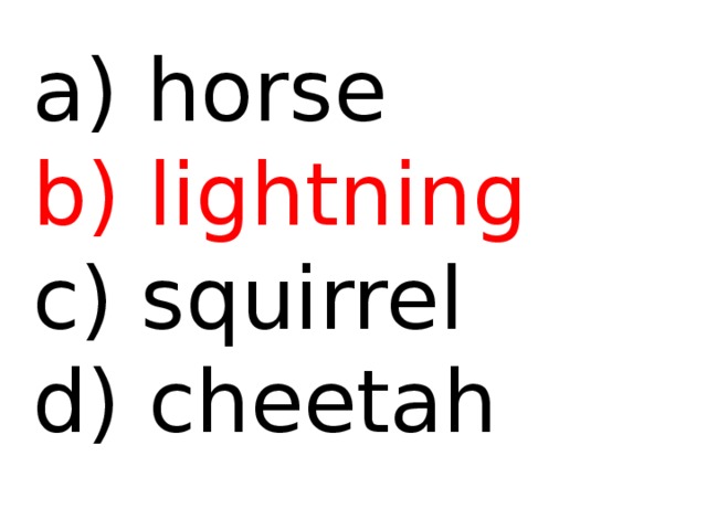  horse b) lightning c) squirrel d) cheetah 