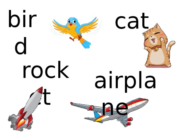 bird cat rocket airplane 