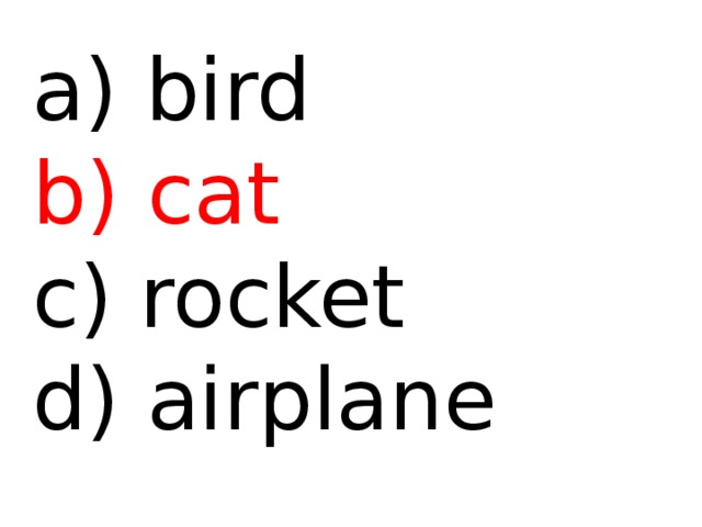  bird b) cat c) rocket d) airplane 