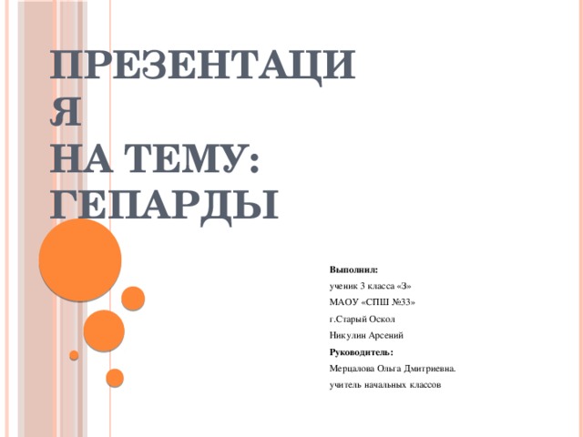 Презентация  на тему:  ГЕПАРДЫ Выполнил: ученик 3 класса «З» МАОУ «СПШ №33» г.Старый Оскол Никулин Арсений Руководитель: Мерцалова Ольга Дмитриевна. учитель начальных классов 