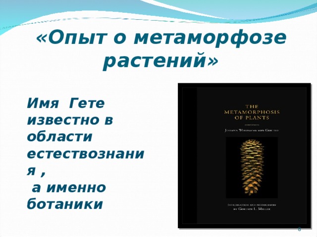 «Опыт о метаморфозе растений» Имя Гете известно в области естествознания ,  а именно ботаники  