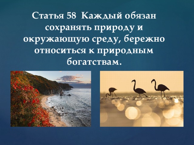 Статья 58  Каждый обязан сохранять природу и окружающую среду, бережно относиться к природным богатствам. 