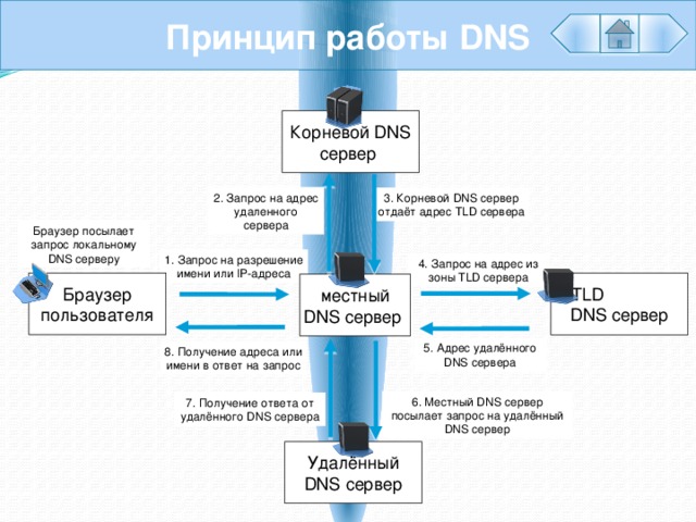 Какой днс нужен. Принципы организации DNS.. DNS протокол принцип работы. DNS протокол схема. Принцип работы ДНС сервера.