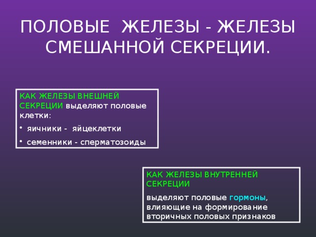 ПОЛОВЫЕ ЖЕЛЕЗЫ - железы смешанной секреции. КАК ЖЕЛЕЗЫ ВНЕШНЕЙ СЕКРЕЦИИ выделяют половые клетки: яичники - яйцеклетки семенники - сперматозоиды КАК ЖЕЛЕЗЫ ВНУТРЕННЕЙ СЕКРЕЦИИ выделяют половые гормоны , влияющие на формирование вторичных половых признаков 