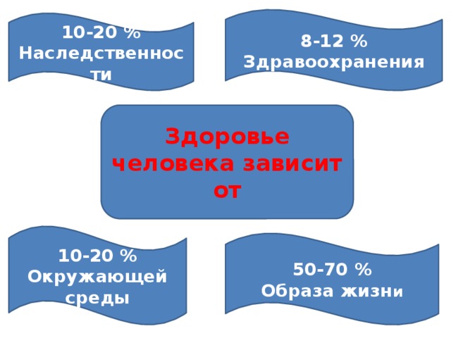 8-12 % Здравоохранения 10-20 % Наследственности Здоровье человека зависит от 10-20 % Окружающей среды 50-70 % Образа жизн и 