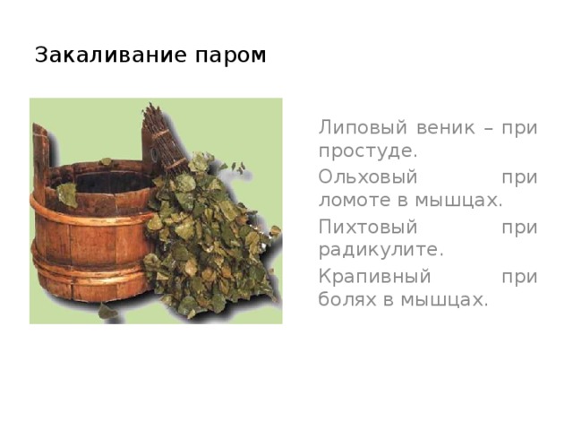 Закаливание паром  Липовый веник – при простуде.  Ольховый при ломоте в мышцах.  Пихтовый при радикулите.  Крапивный при болях в мышцах. 