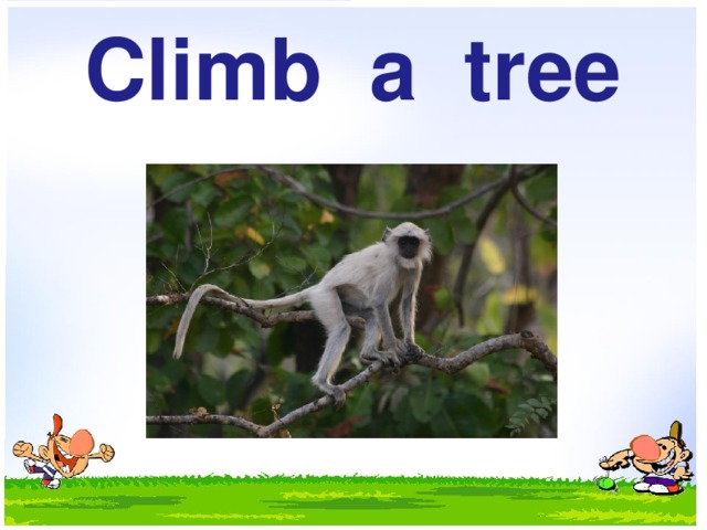 Climb a tree 