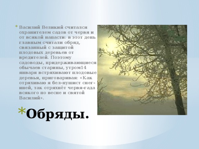 Василий Великий считался охранителем садов от червя и от всякой напасти: в этот день главным считали обряд, связанный с защитой плодовых деревьев от вредителей. Поэтому садоводы, придерживающиеся обычаев старины, утром14 января встряхивают плодовые деревья, приговаривая: «Как отряхиваю я бел-пушист снег-иней, так отряхнёт червя-гада всякого по весне и святой Василий». Обряды. 