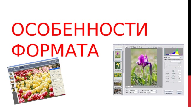 Особенности формата 