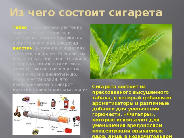 Из чего состоит сигарета Табак – однолетнее растение семейства пасленовых, в листьях которого содержится нейротоксический алкалоид никотин . В табачных изделиях содержится более 30 ядовитых веществ: углекислый газ, окись углерода, синильная кислота, аммиак, смолистые вещества, органические кислоты и др. Ученые установили, что извлеченный из 5 сигарет никотин убивает кролика, а и из 100 – лошадь. Сигарета состоит из прессованного высушенного табака, в который добавляют ароматизаторы и различные добавки для увеличения горючести. «Фильтры», которые используют для уменьшения вредоносной концентрации вдыхаемых ядов, лишь в незначительной степени выполняют эту свою функцию. 