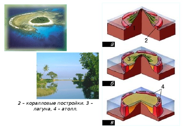 Образование атолла схема