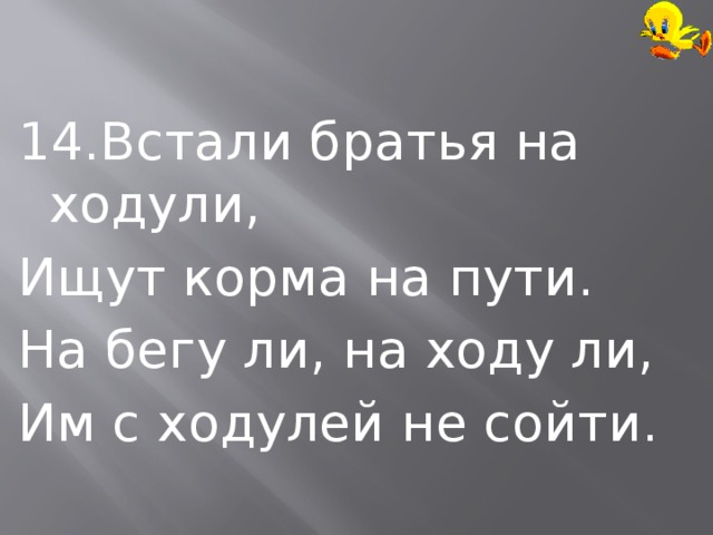 14.Встали братья на ходули, Ищут корма на пути. На бегу ли, на ходу ли, Им с ходулей не сойти. 