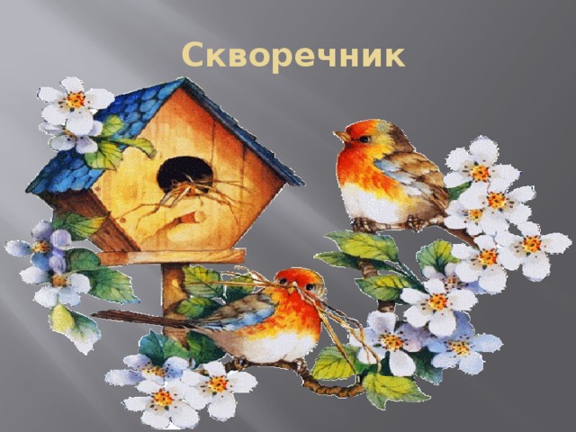  Скворечник 