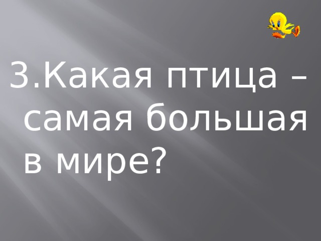 3.Какая птица – самая большая в мире? 