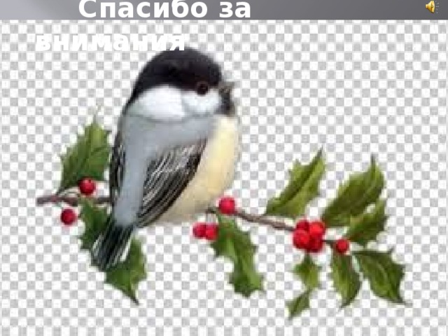  Спасибо за внимания 