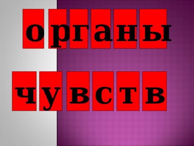 о р г а н ы ч у в с т в 