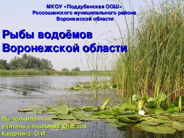 МКОУ «Поддубенская ООШ» Россошанского муниципального района  Воронежской области Рыбы водоёмов Воронежской области Мир вокруг нас 4 класс Выполнила учитель начальных классов Квартина О.И. 