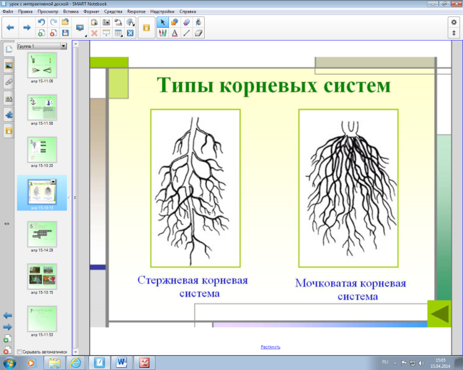 Конспект урока корень