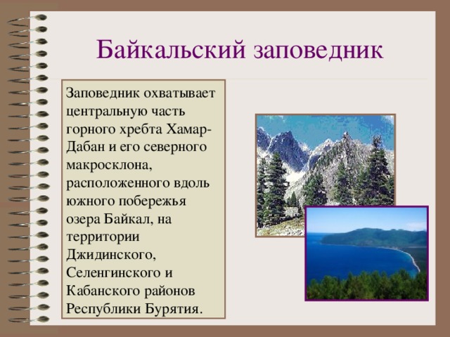 Байкальский заповедник сообщение. Байкальский заповедники России кратко. Сведения о Байкальском заповеднике. Заповедники Республики Бурятия. Заповедник Байкала сообщение.