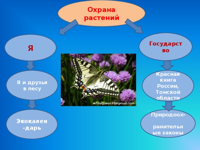 Тех карта охрана растений 3 класс