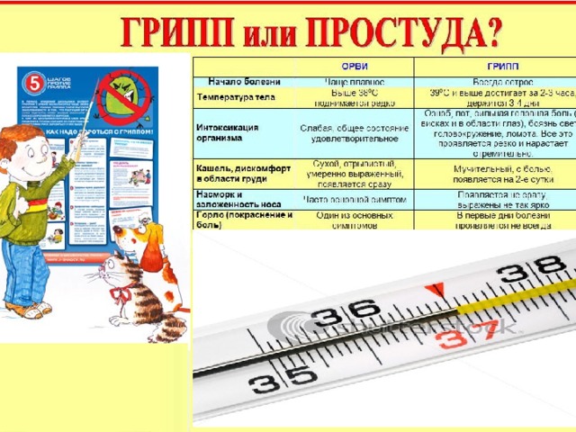 Слайды по гриппу и орви