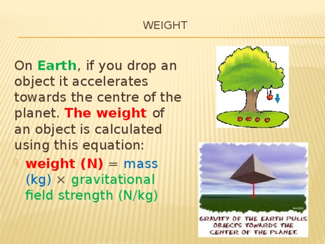 Weight   On Earth , if you drop an object it accelerates towards the centre of the planet. The weight of an object is calculated using this equation: weight (N) = mass (kg) × gravitational field strength (N/kg) 