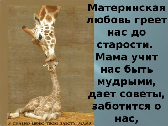 Материнская любовь греет нас до старости. Мама учит нас быть мудрыми, дает советы, заботится о нас, оберегает нас. 