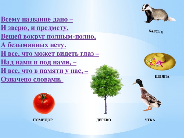 Называется дай. Барсук родственные слова. Барсук корень слова. Родственные слова к слову барсук. Однокоренные слова к слову барсук.