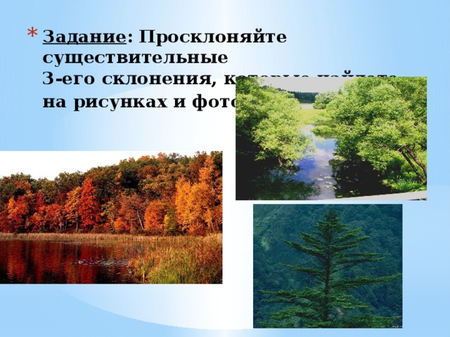 Задание : Просклоняйте существительные  3-его склонения, которые найдете на рисунках и фотографиях . 