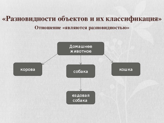 Что такое классификация. Разновидности объектов и их классификация. Схема классификация компьютерных объектов. Разновидности объектов и их классификация схема. Классификация объектов Информатика.