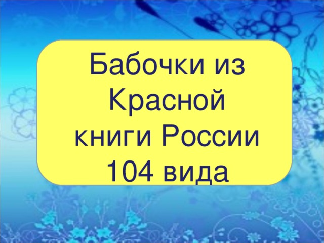 Бабочки из Красной книги России 104 вида 