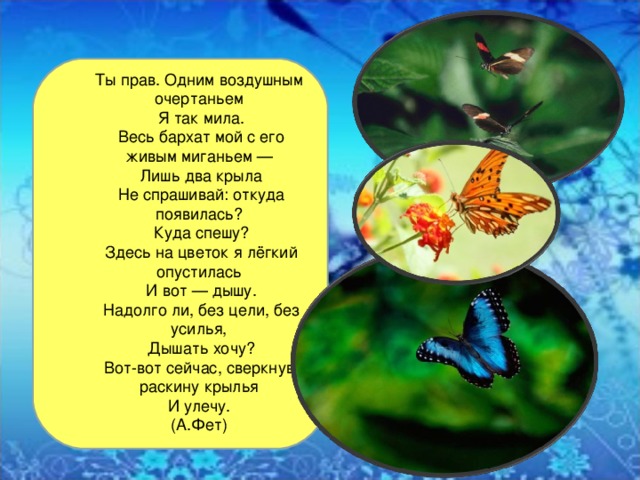 Ты прав. Одним воздушным очертаньем  Я так мила.  Весь бархат мой с его живым миганьем —  Лишь два крыла  Не спрашивай: откуда появилась?  Куда спешу?  Здесь на цветок я лёгкий опустилась  И вот — дышу.  Надолго ли, без цели, без усилья,  Дышать хочу?  Вот-вот сейчас, сверкнув, раскину крылья  И улечу. (А.Фет) 